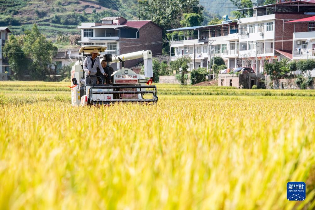 扑鱼游戏网